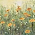 Dandelions